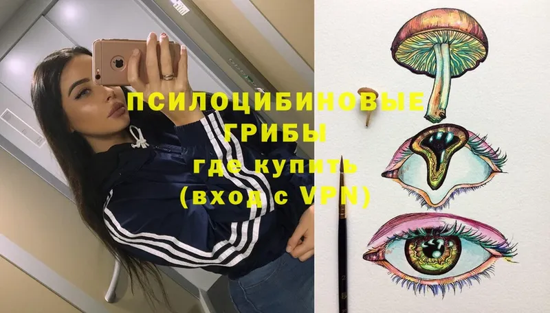 Галлюциногенные грибы Psilocybe  магазин    ОМГ ОМГ онион  Кинешма 